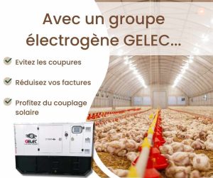 groupe électrogène GELEC pour l'aviculture