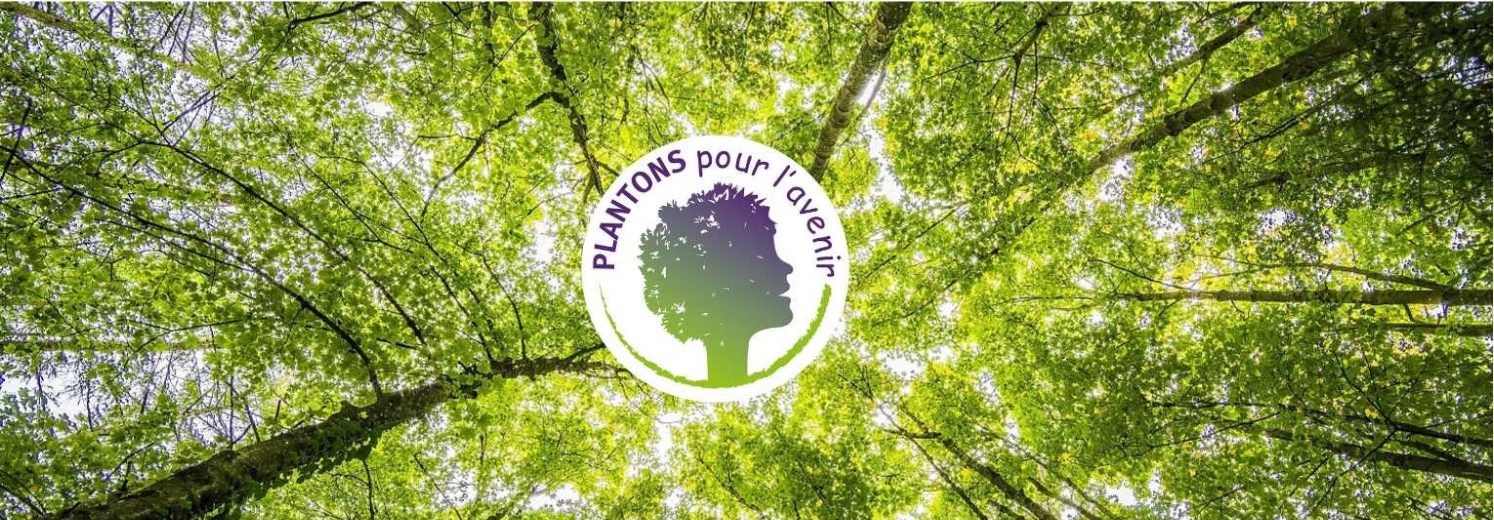 Nos actions pour la reforestation Nos actions pour la reforestation