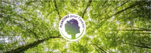Nos actions pour la reforestation