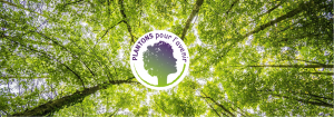 Nos actions pour la reforestation