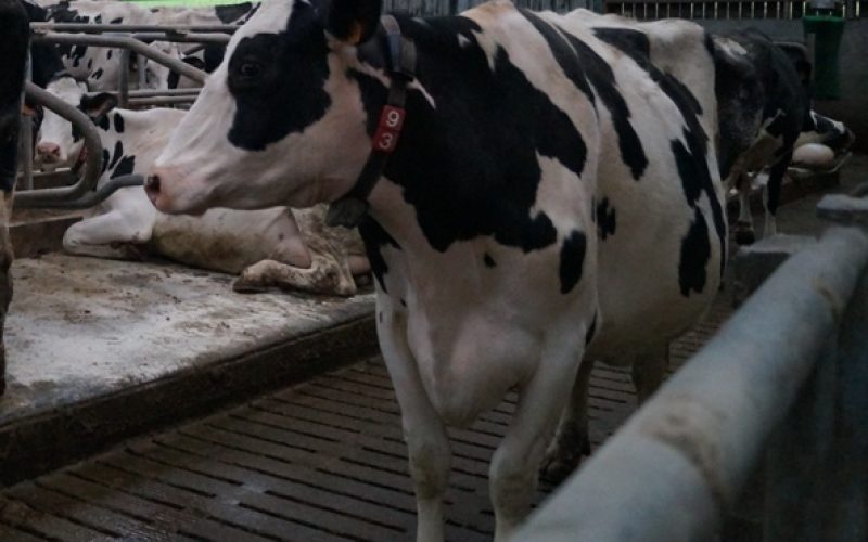 Le groupe électrogène GELEC chez les agriculteurs !