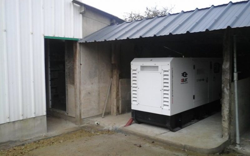 GELEC ENERGY EQUIPS A PIG MATERNITY UNIT WITH A 90 kVA GENERATOR!