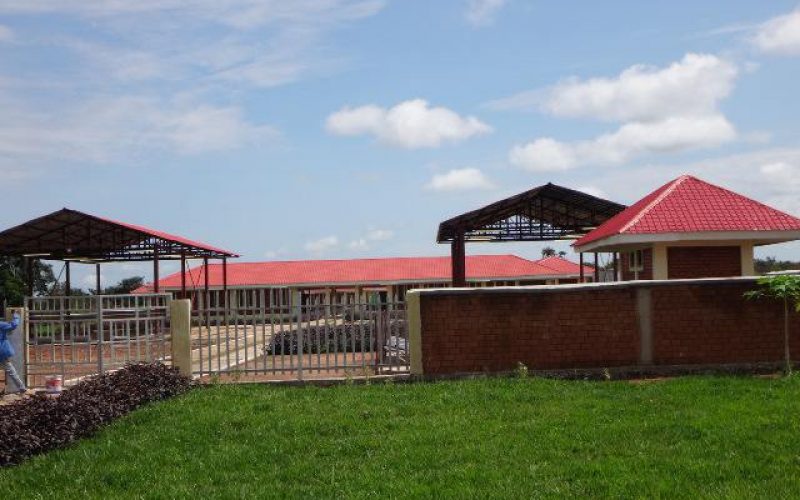 Installation d’un groupe électrogène dans une école en République Démocratique du Congo